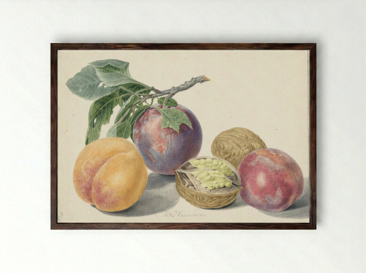 Stilleven met vruchten - Michiel van Huysum - Framed Print Dark Wood