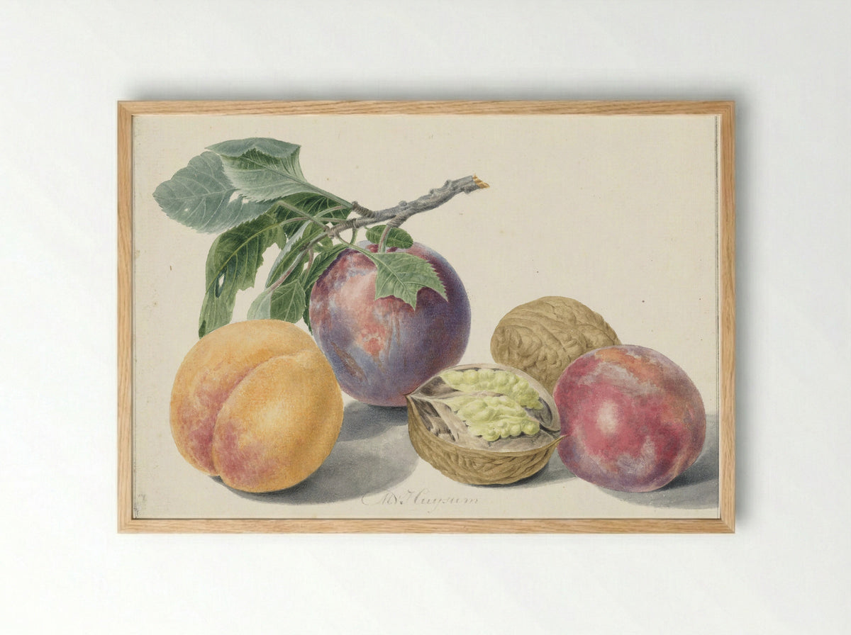 Stilleven met vruchten - Michiel van Huysum - Framed Print Wood