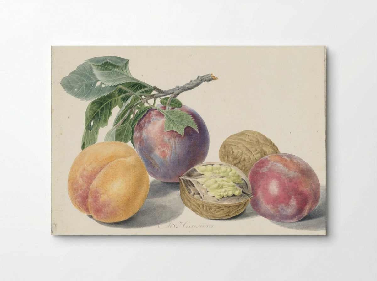 Stilleven met vruchten - Michiel van Huysum - Poster