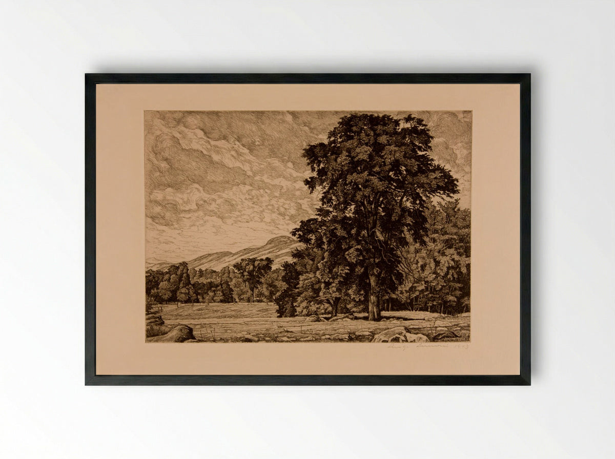 Stony Pasture - Luigi Lucioni - Framed Print Black