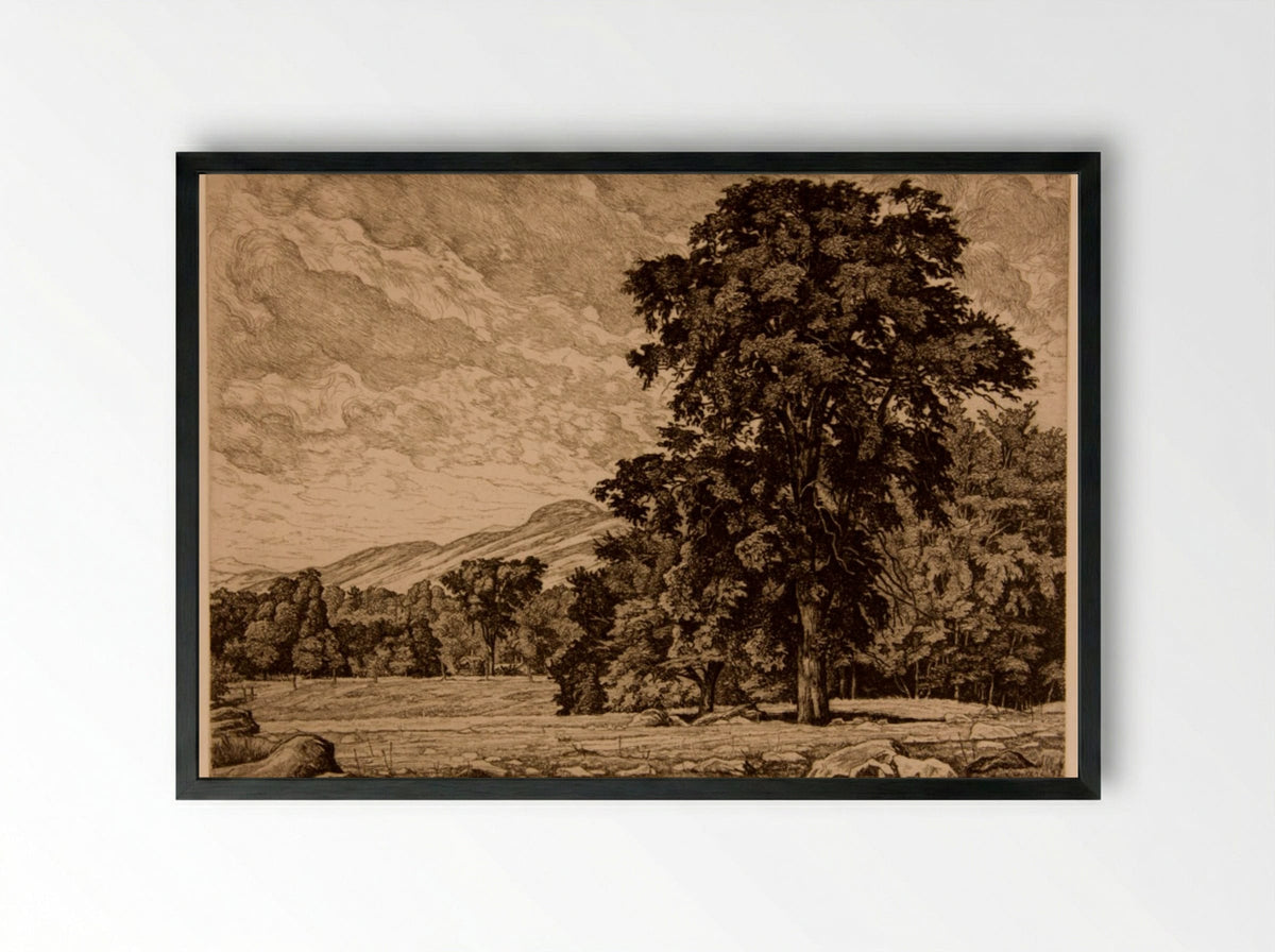 Stony Pasture - Luigi Lucioni - Framed Print Black
