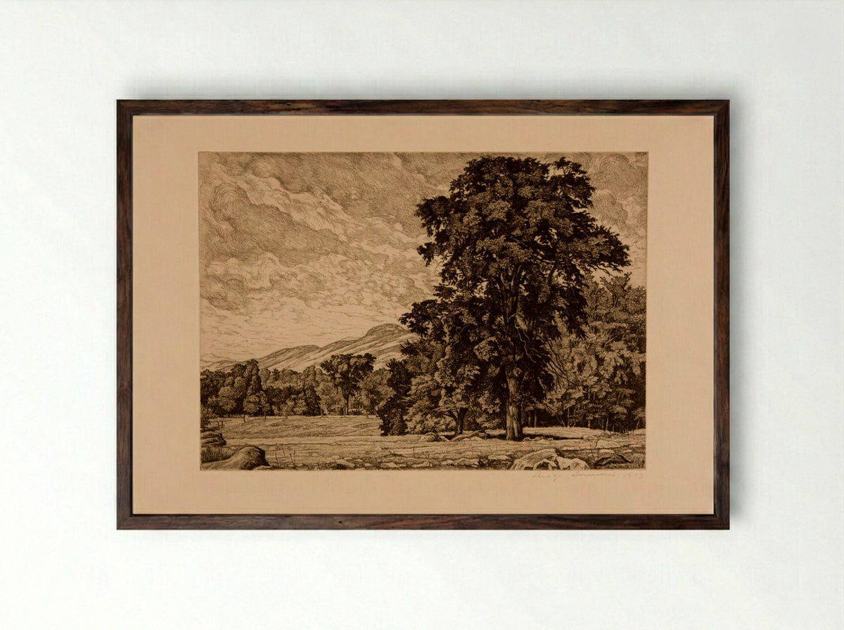 Stony Pasture - Luigi Lucioni - Framed Print Dark Wood