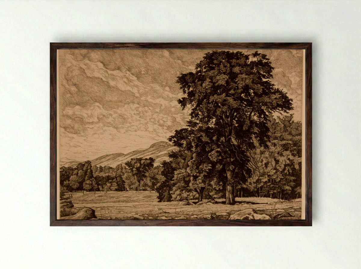 Stony Pasture - Luigi Lucioni - Framed Print Dark Wood