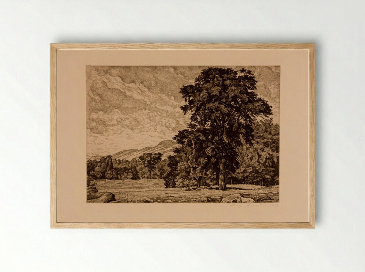 Stony Pasture - Luigi Lucioni - Framed Print Wood