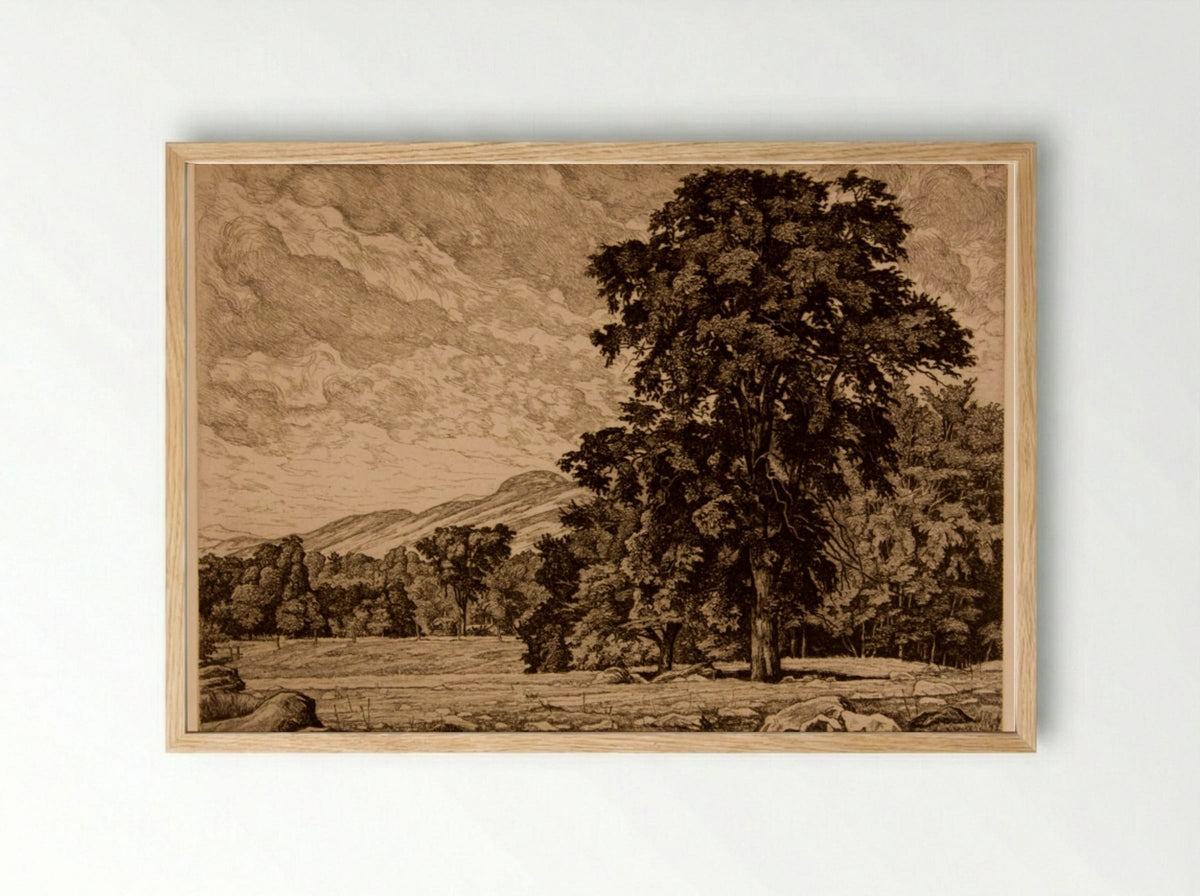 Stony Pasture - Luigi Lucioni - Framed Print Wood
