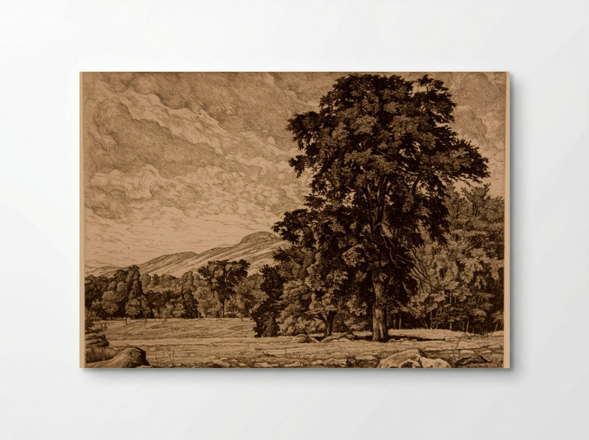 Stony Pasture - Luigi Lucioni - Poster