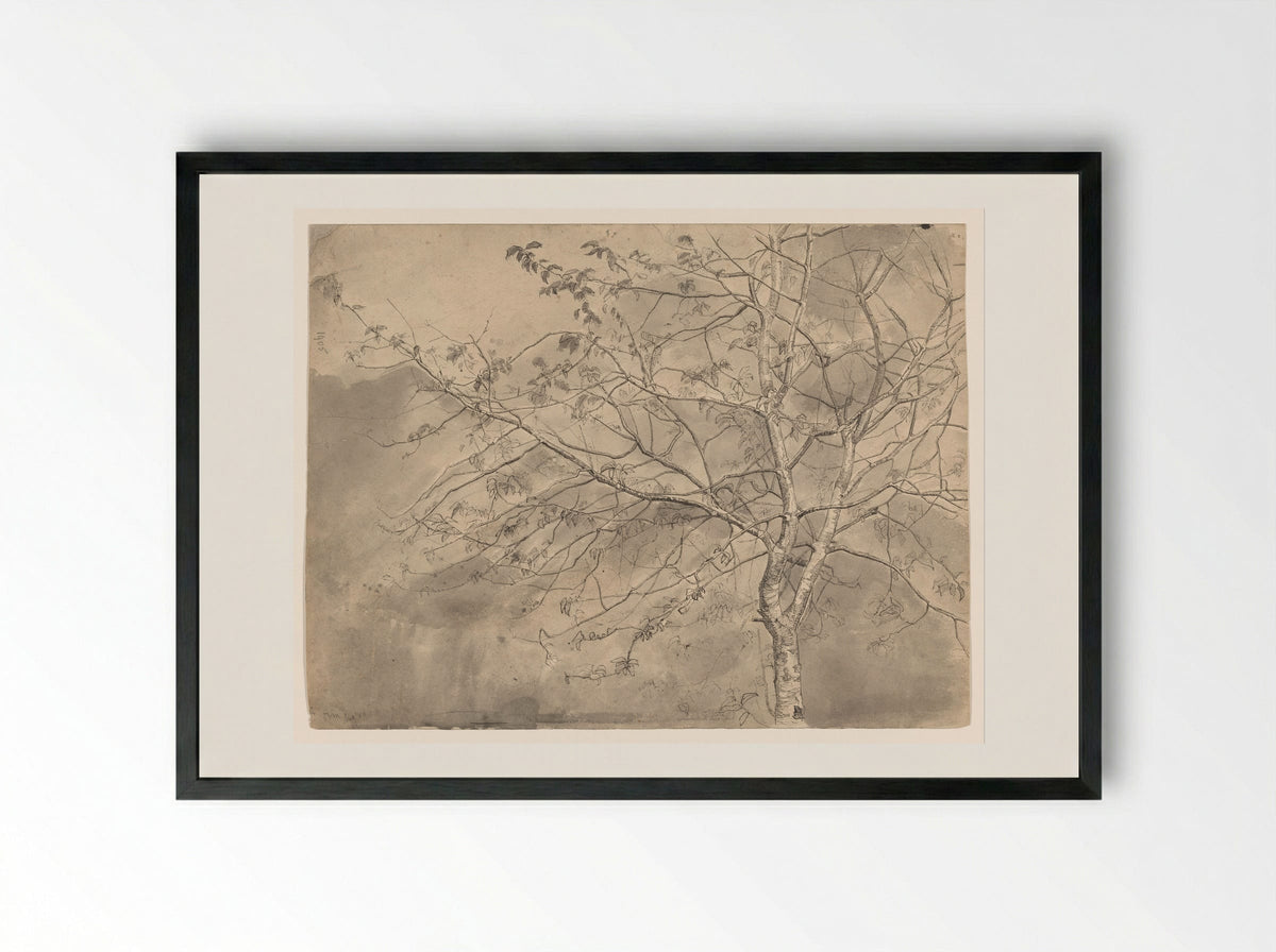 Studie van een olm - Coba Steenhoff - Framed Print Black