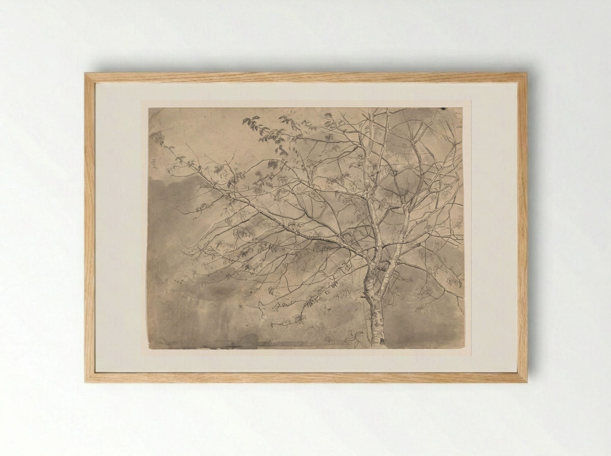 Studie van een olm - Coba Steenhoff - Framed Print Wood