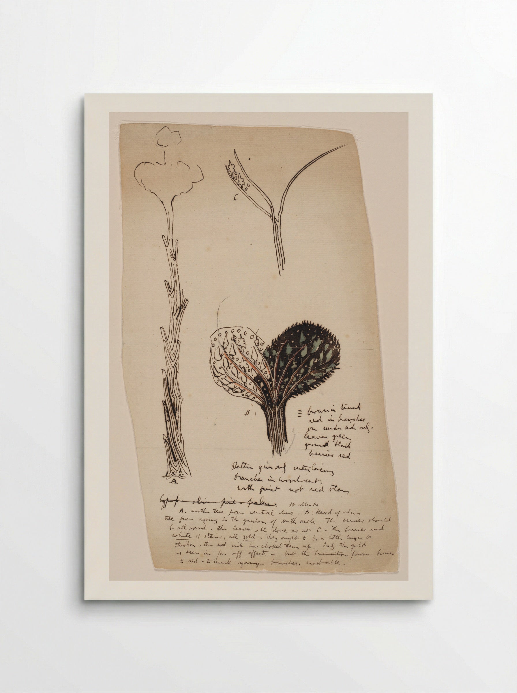Studies in St. Mark's - John Ruskin - Poster