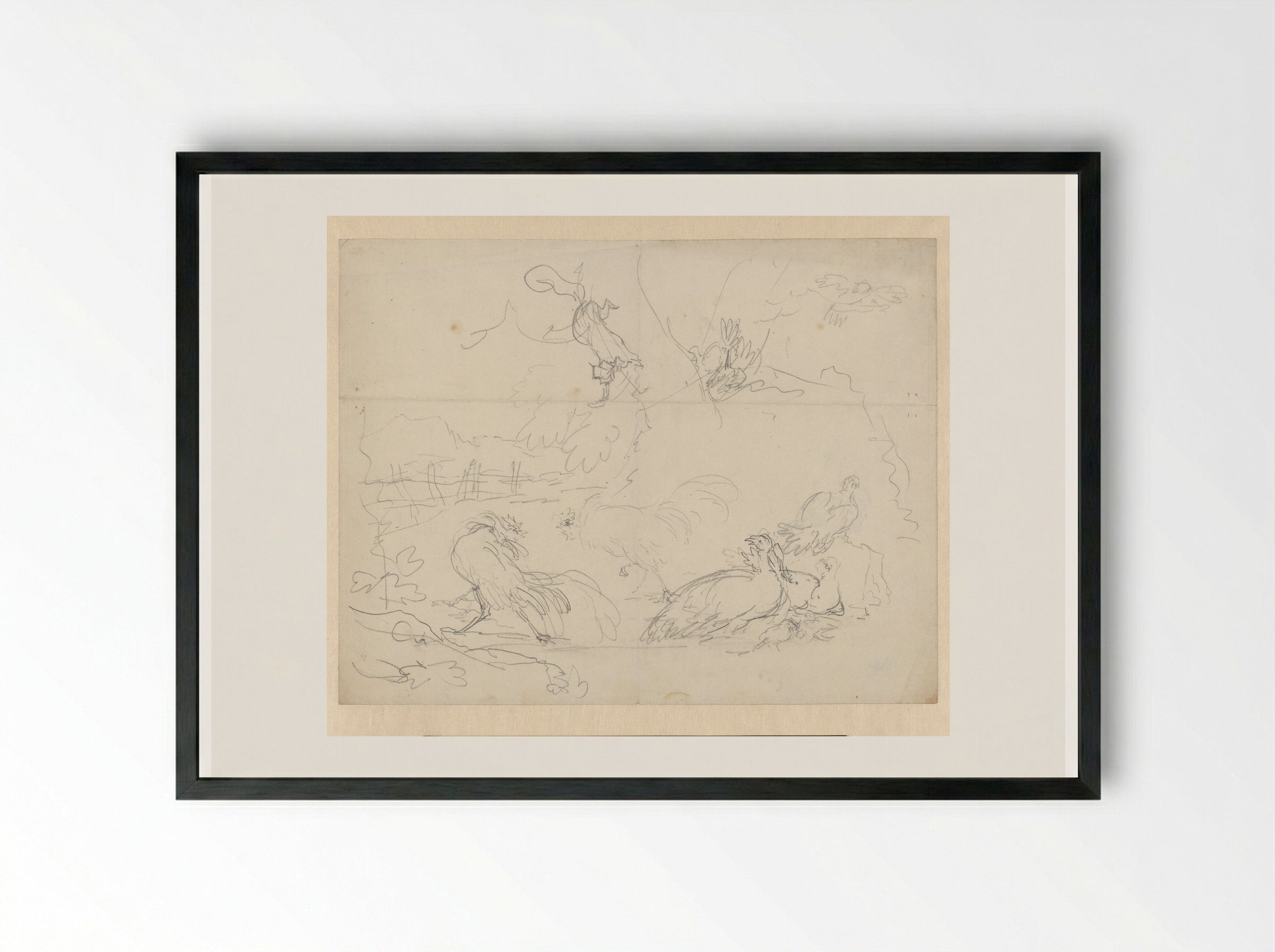 Studies of Fighting Cocks and Hens - Aert Schouman - Framed Print Black