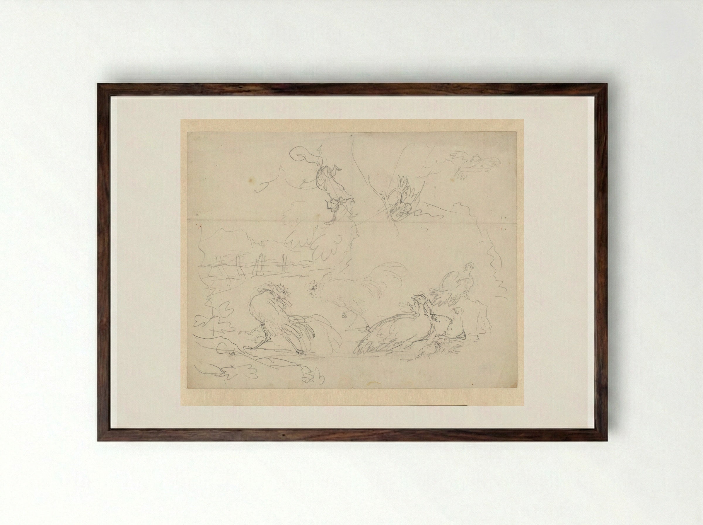 Studies of Fighting Cocks and Hens - Aert Schouman - Framed Print Dark Wood