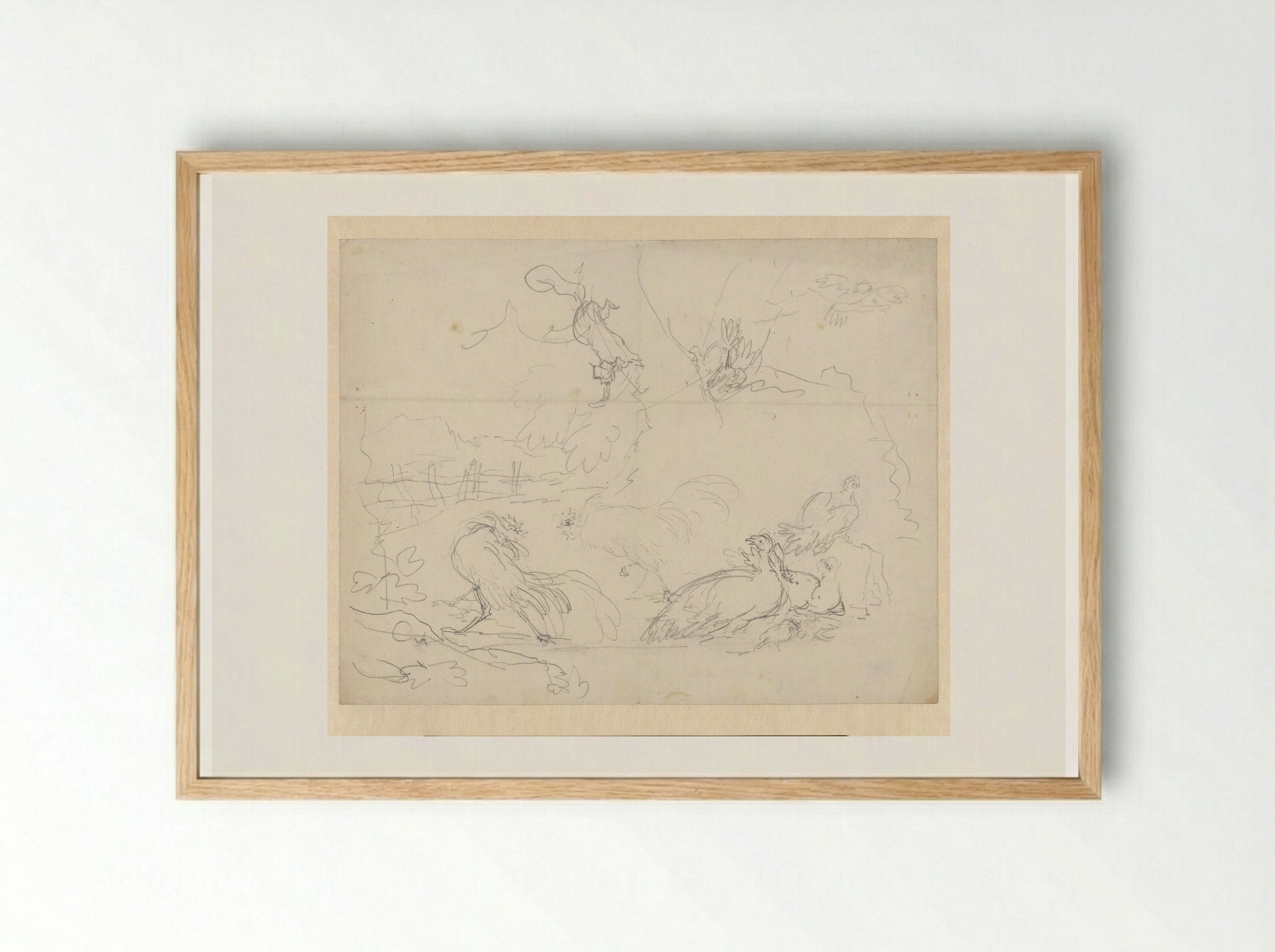 Studies of Fighting Cocks and Hens - Aert Schouman - Framed Print Wood
