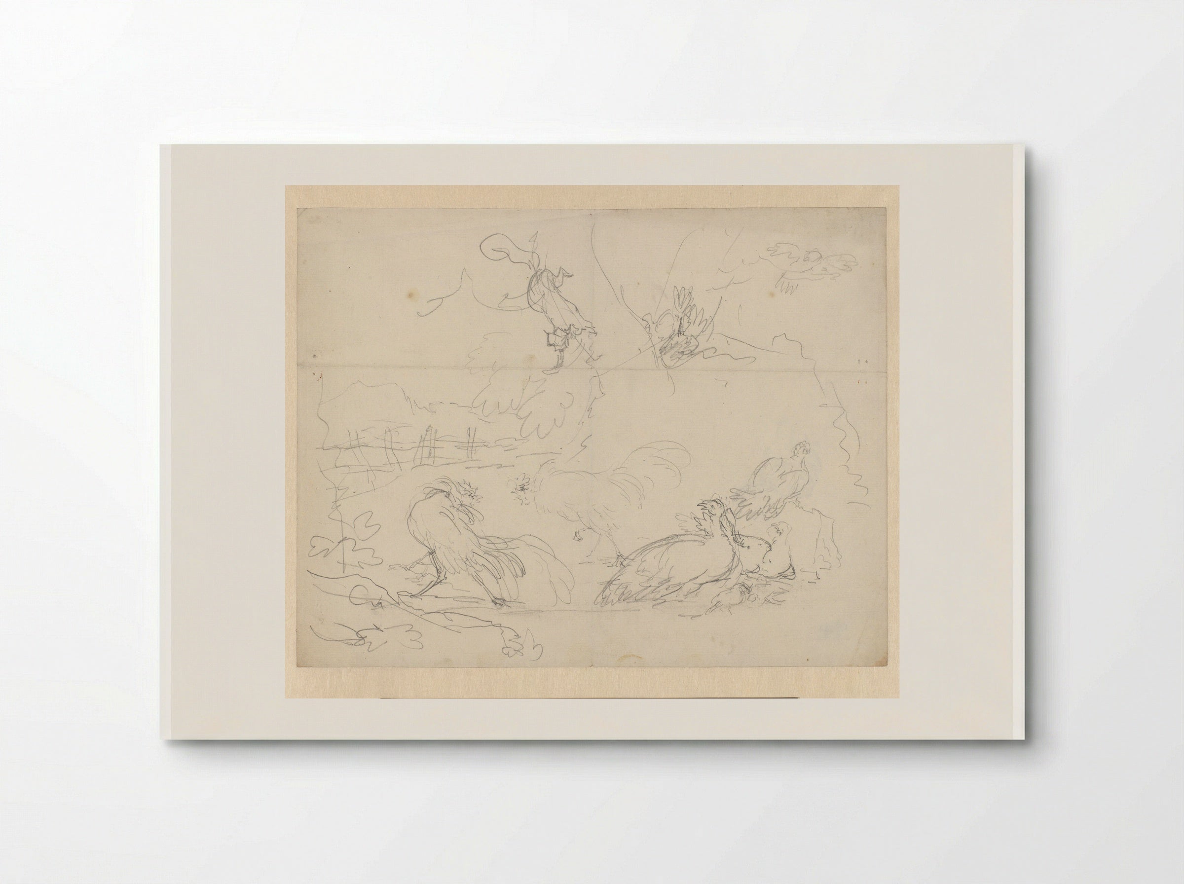 Studies of Fighting Cocks and Hens - Aert Schouman - Poster