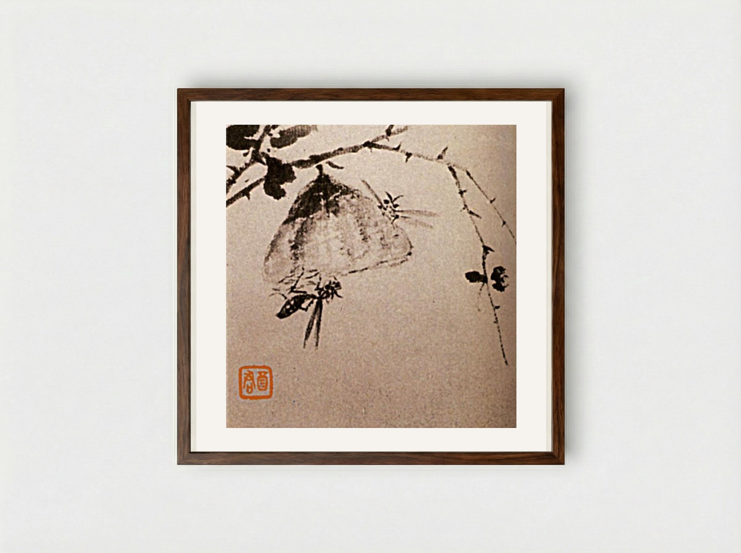 Studies of Insects, Wasps - Shitao - Framed Print Dark Wood