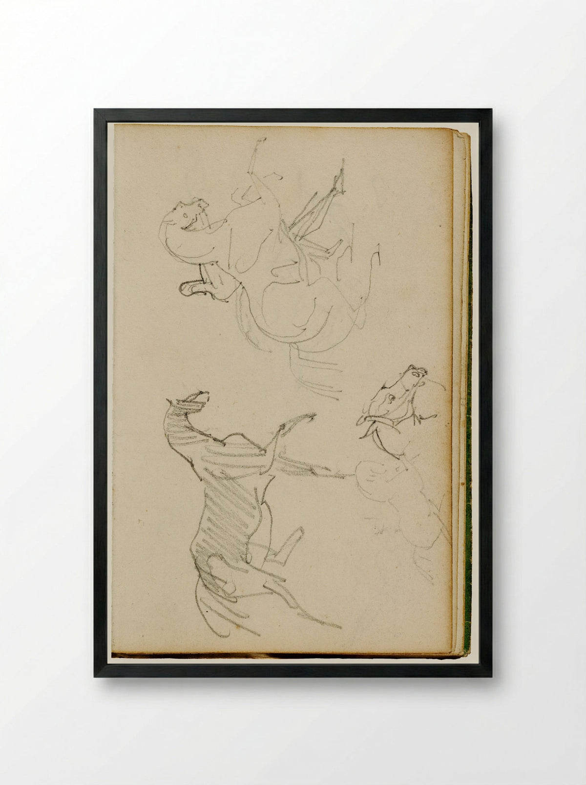 Studies of a Cat - Théodore Géricault - Framed Print Black