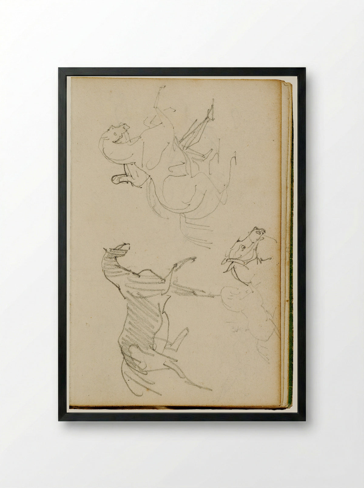 Studies of a Cat - Théodore Géricault - Framed Print Black