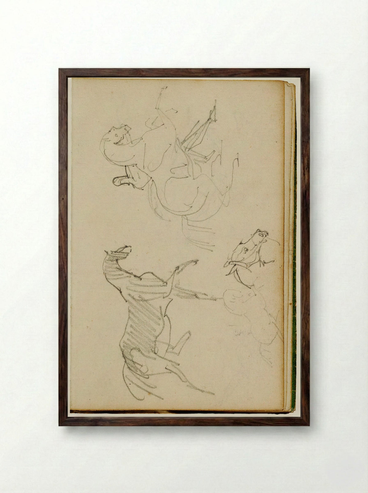Studies of a Cat - Théodore Géricault - Framed Print Dark Wood