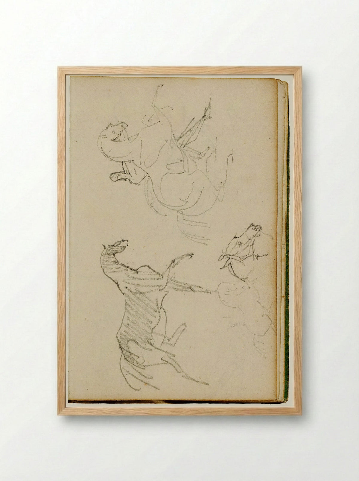 Studies of a Cat - Théodore Géricault - Framed Print Wood