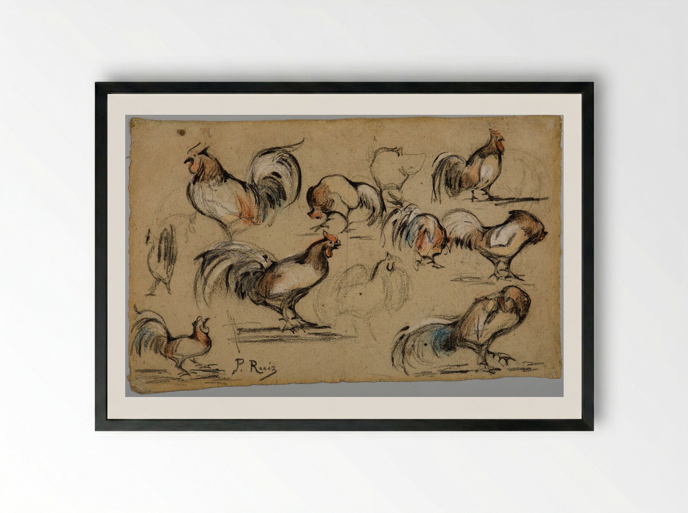 Studies of a Rooster - Pablo Picasso - Framed Print Black