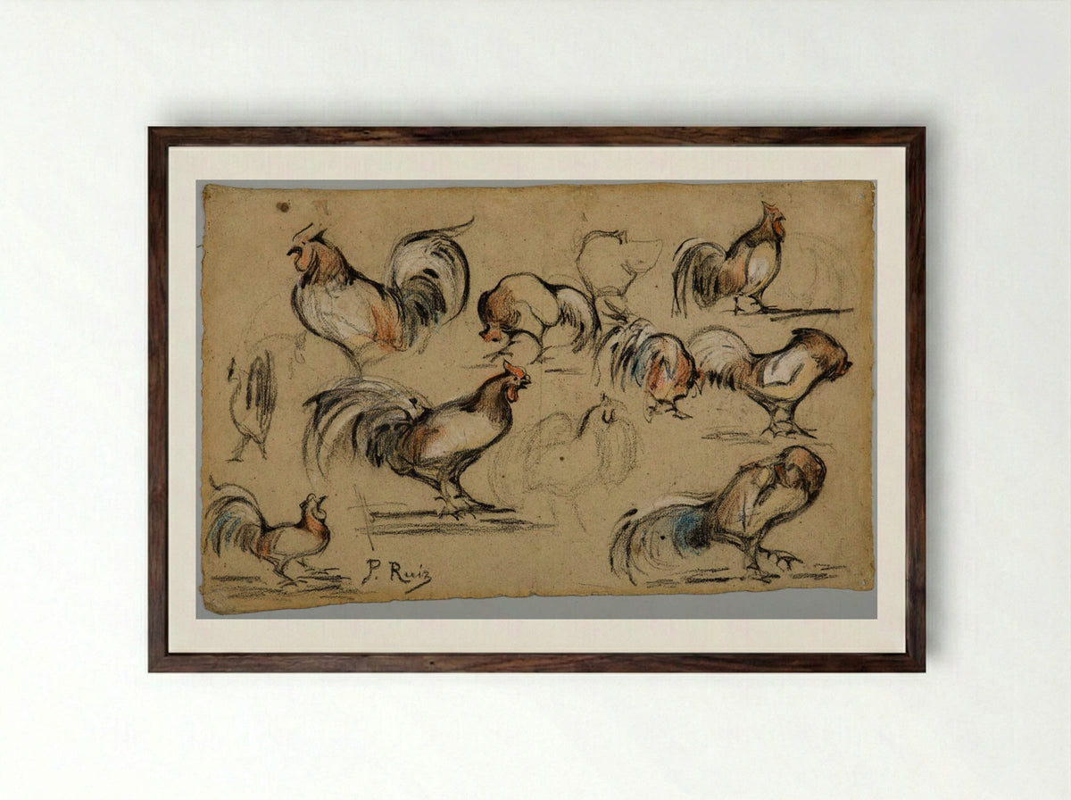 Studies of a Rooster - Pablo Picasso - Framed Print Dark Wood