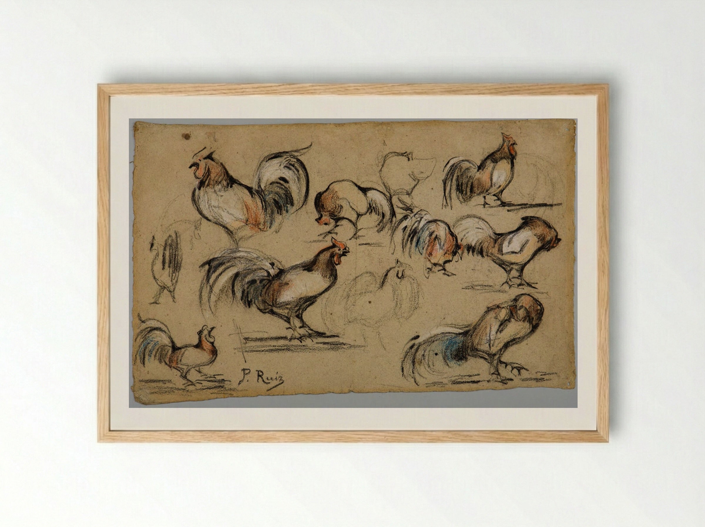 Studies of a Rooster - Pablo Picasso - Framed Print Wood