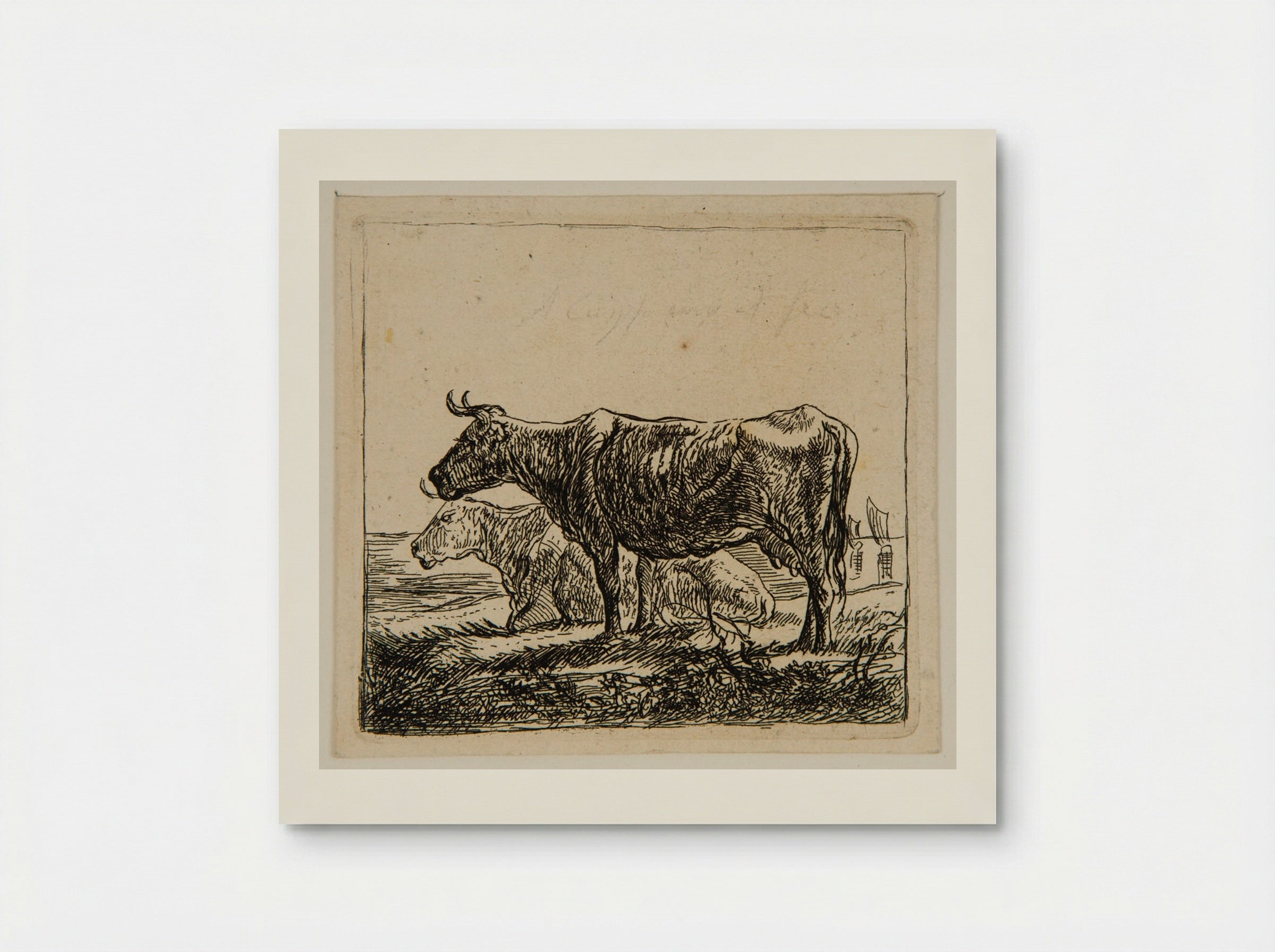 Study I (Cows in a Field) - Aelbert Cuyp - Poster