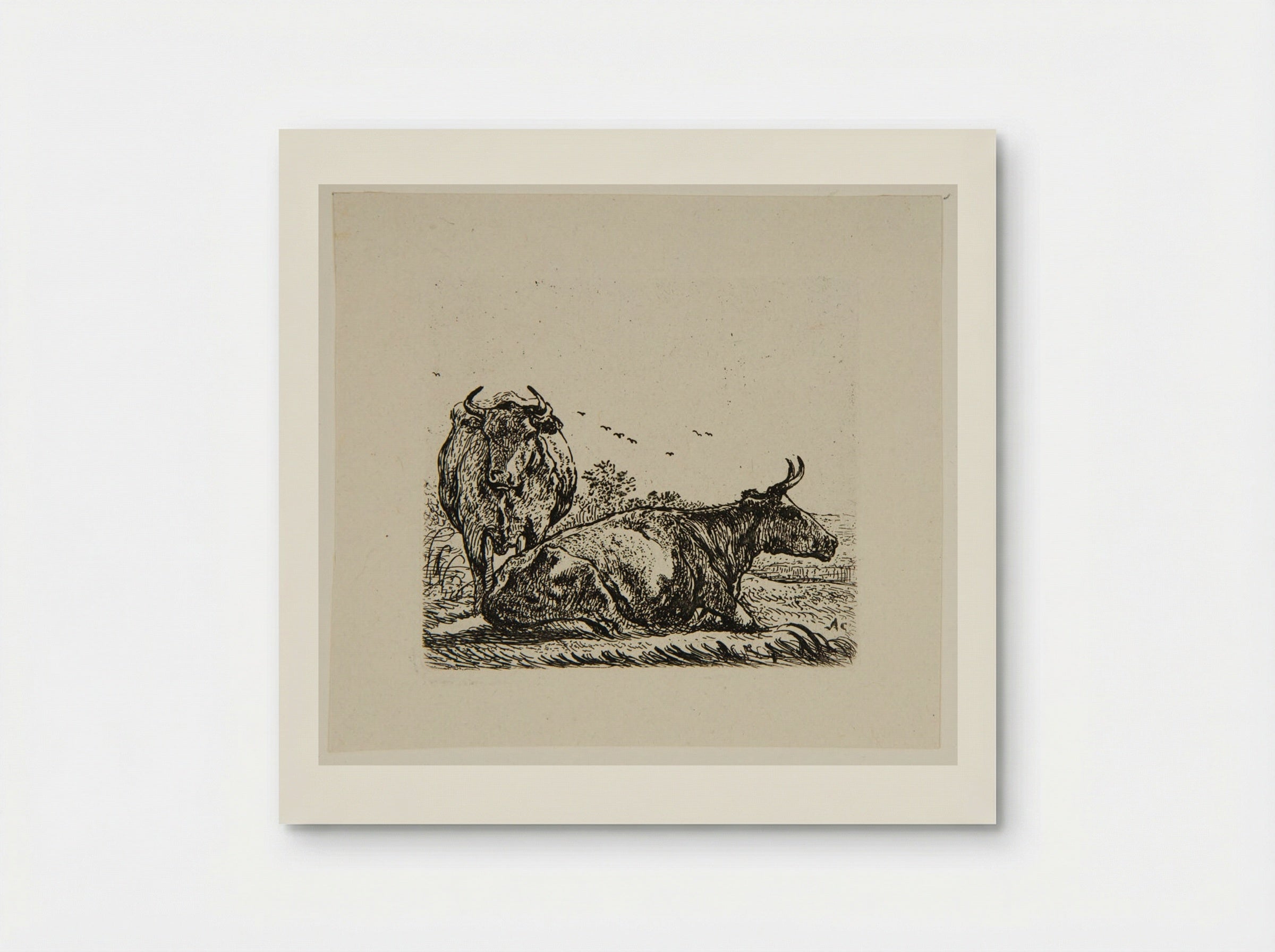 Study II (Cows in a Field) - Aelbert Cuyp - Poster