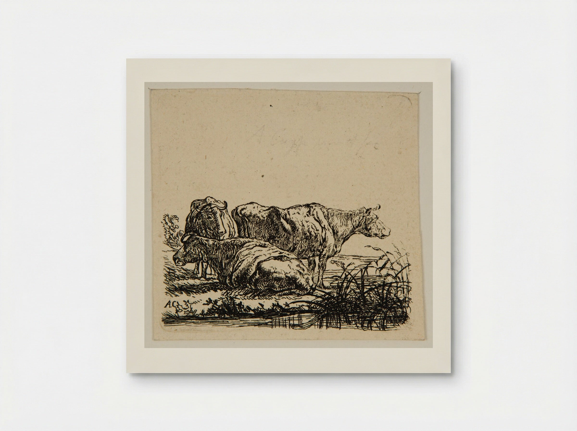 Study VI (Cows in a Meadow) - Aelbert Cuyp - Poster