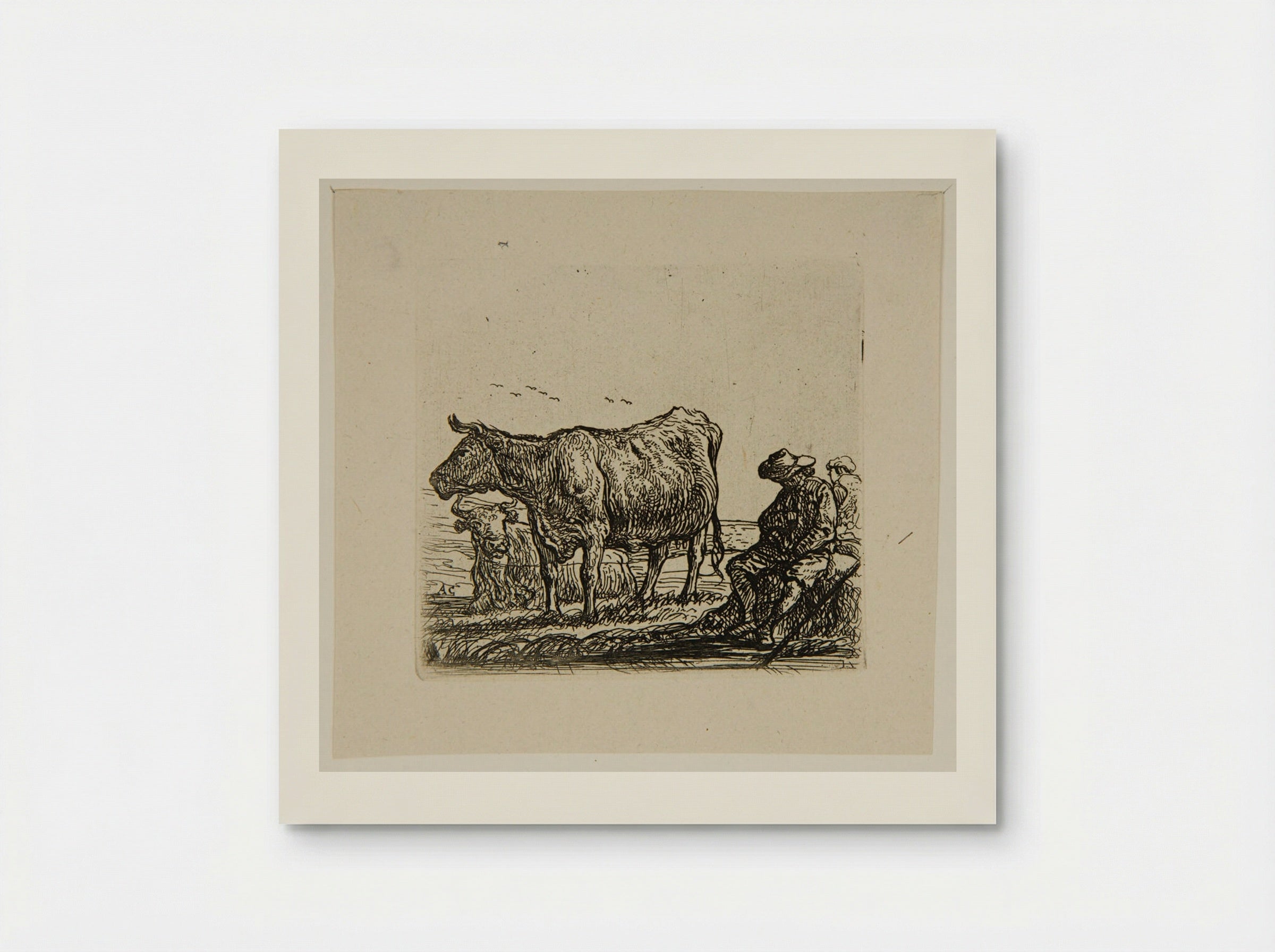 Study V - Aelbert Cuyp - Poster