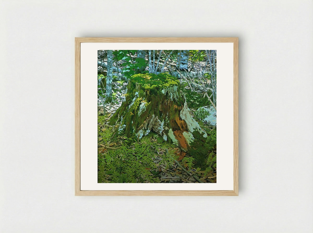 Stump - Neil Welliver - Framed Print Wood