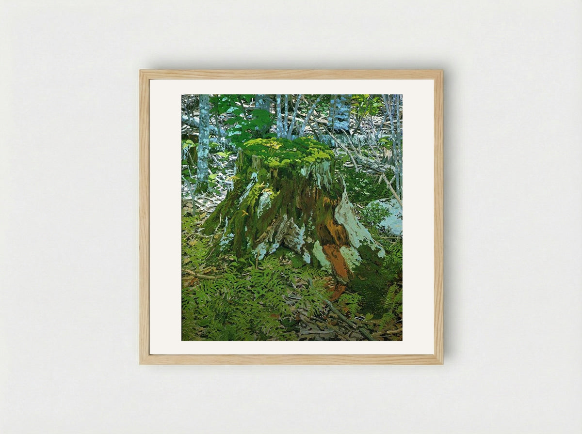 Stump - Neil Welliver - Framed Print Wood