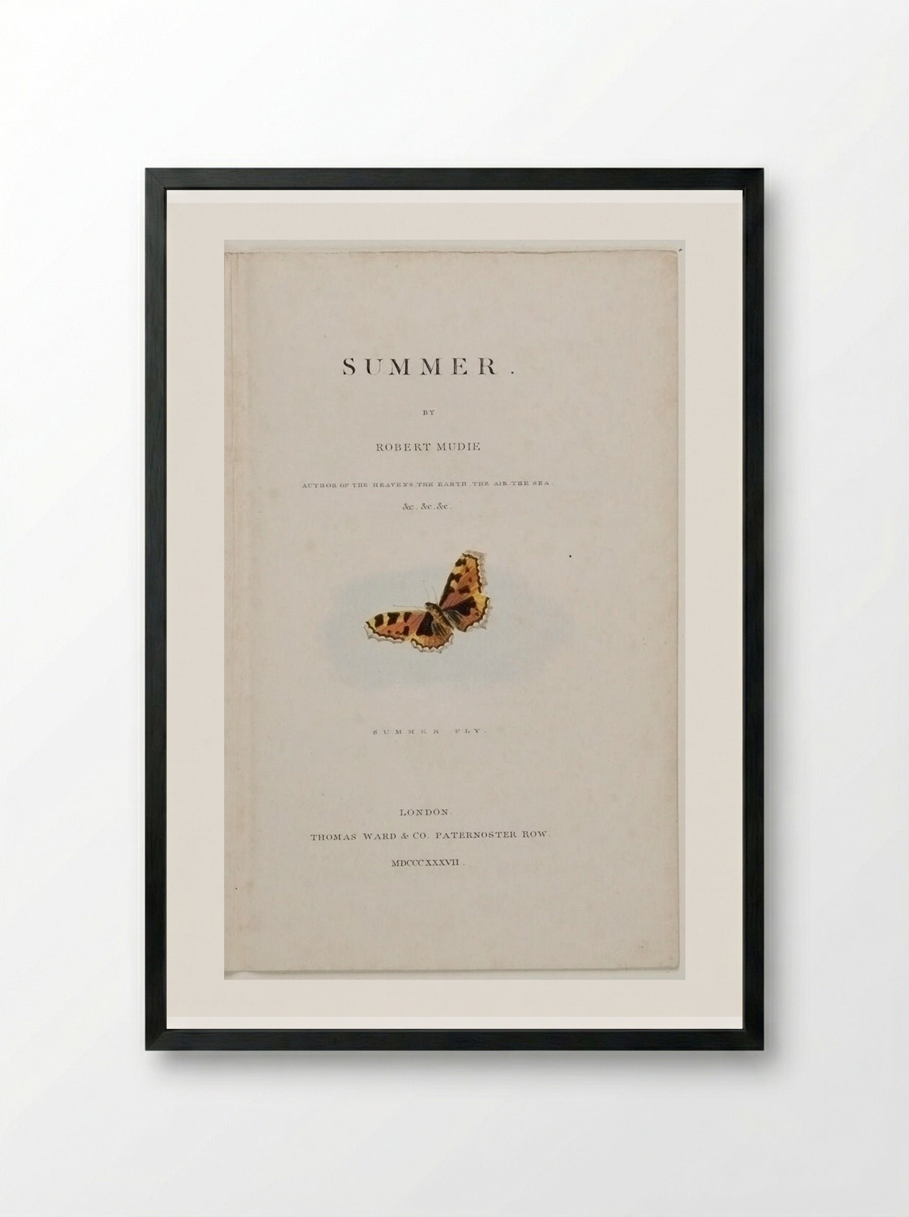Summer Fly - George Baxter - Framed Print Black