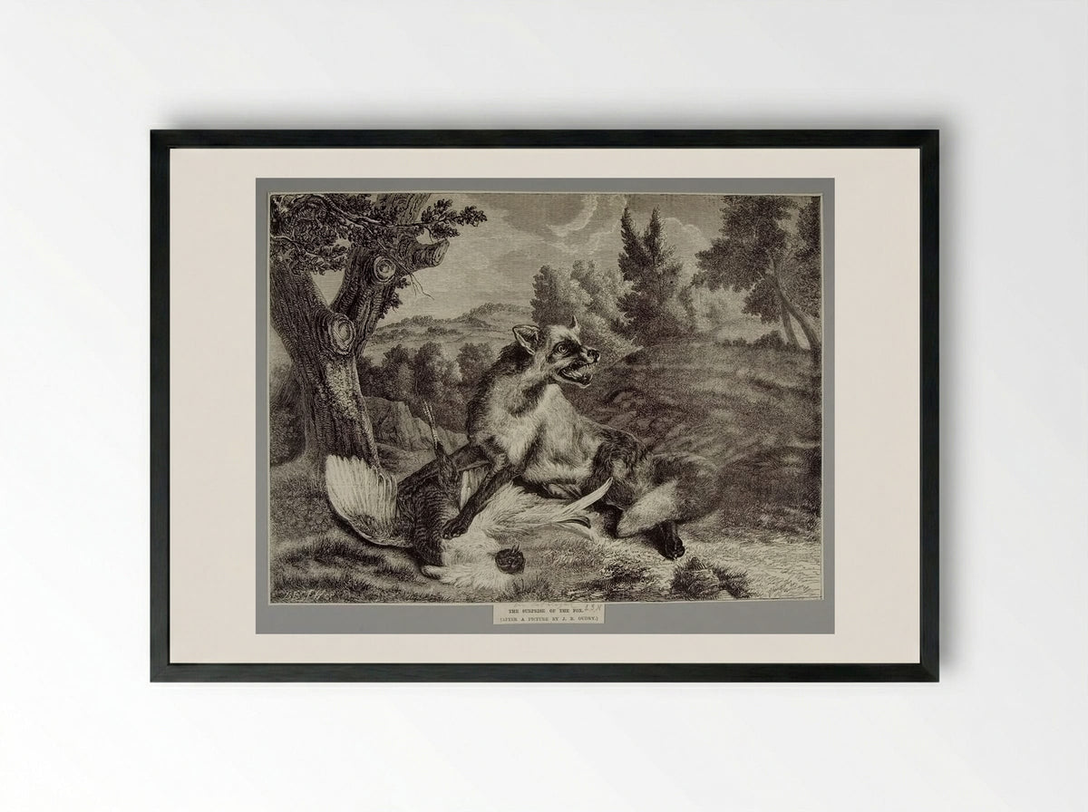 Surprise of the Fox - Best et Cie - Framed Print Black