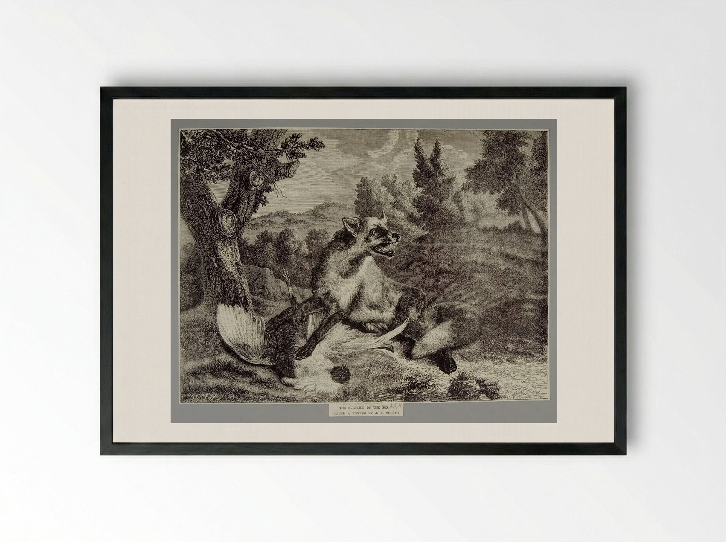 Surprise of the Fox - Best et Cie - Framed Print Black