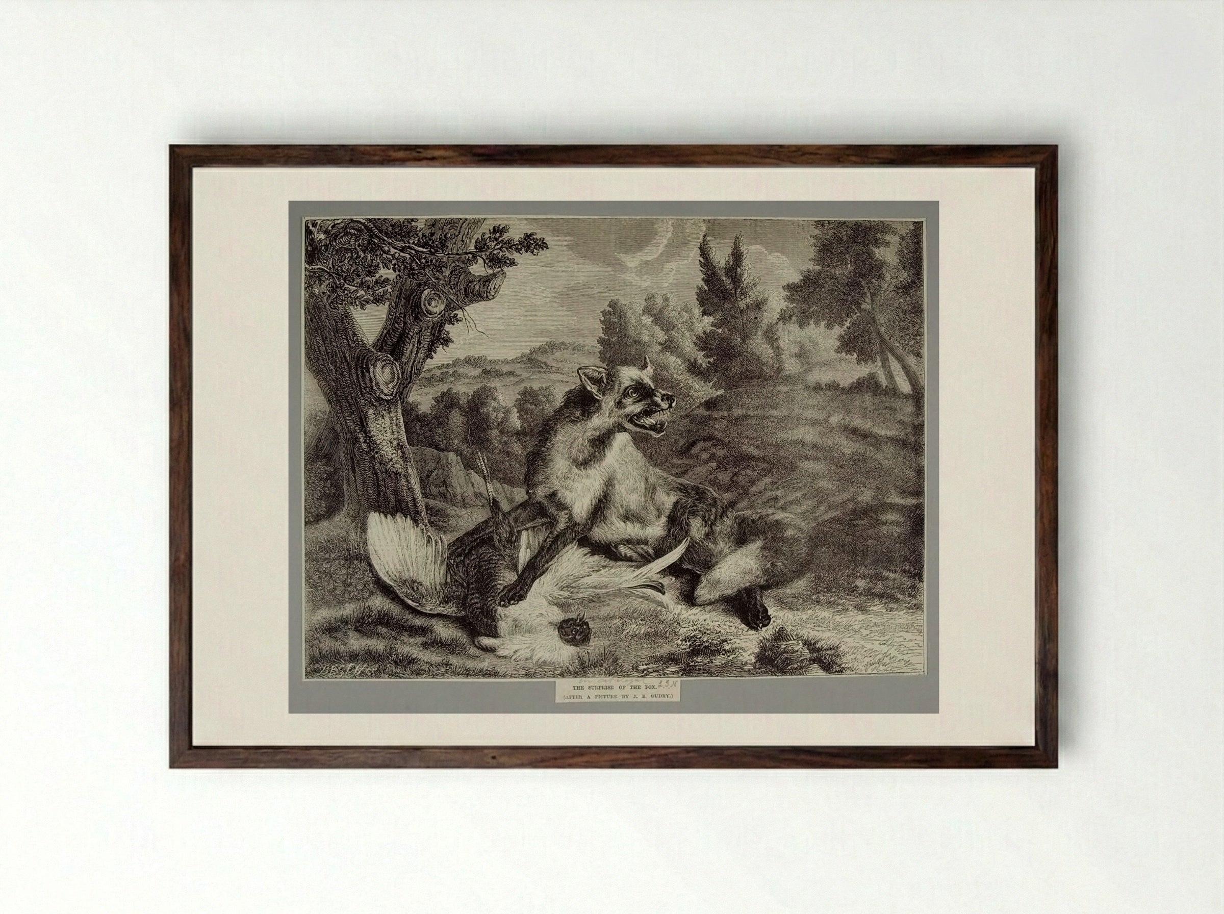 Surprise of the Fox - Best et Cie - Framed Print Dark Wood