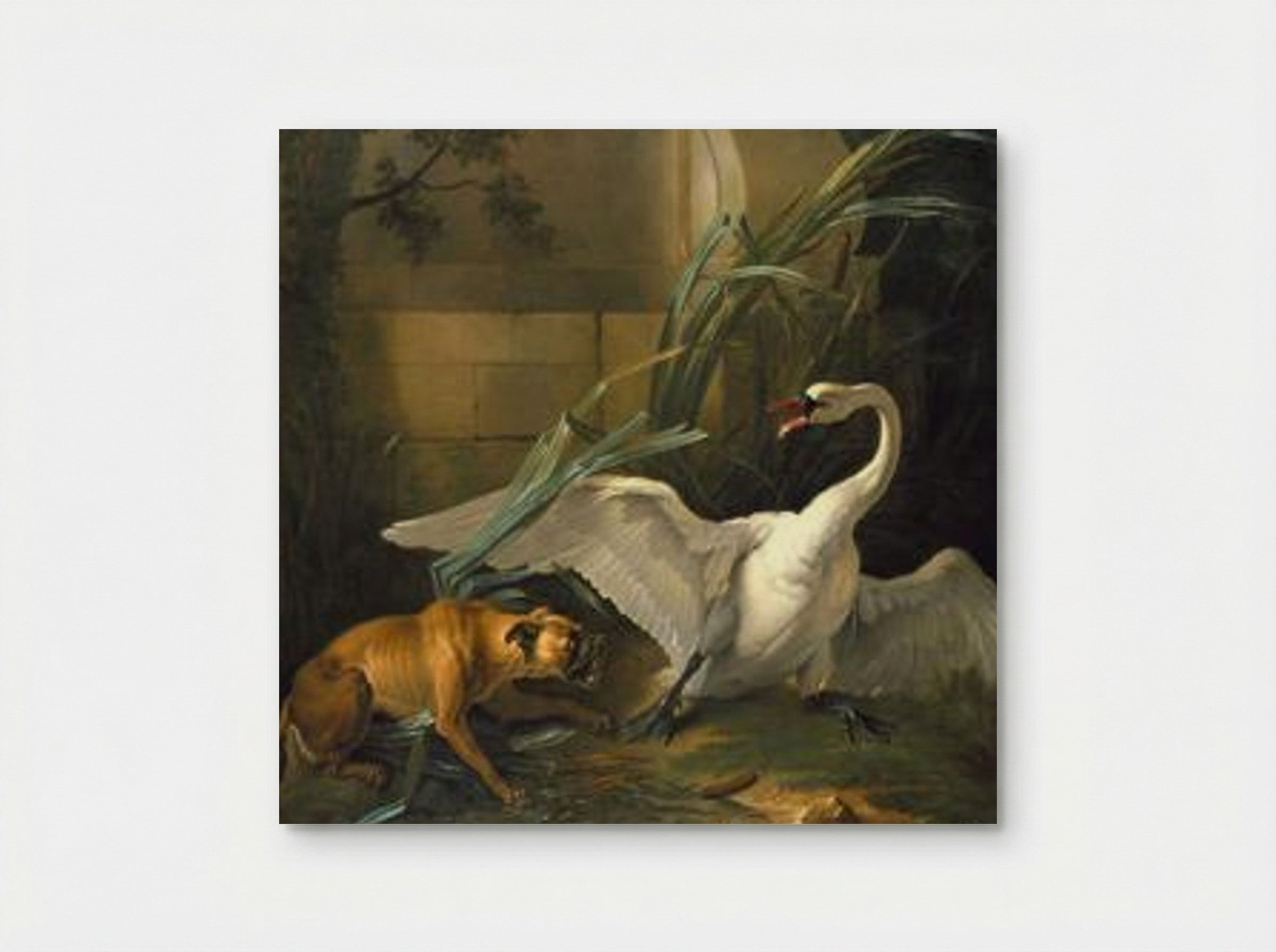 Swan Attacked by a Dog - Jean-Baptiste Oudry - Poster