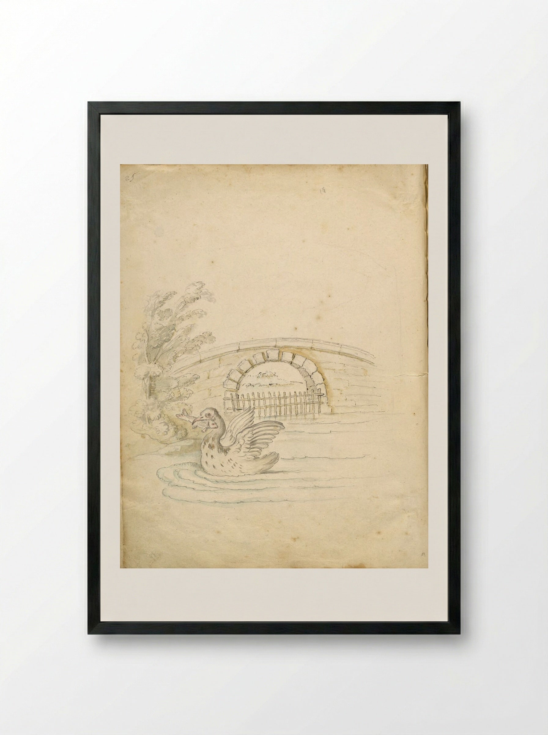 Swan Transporting a Fish - Jean-Baptiste Oudry - Framed Print Black