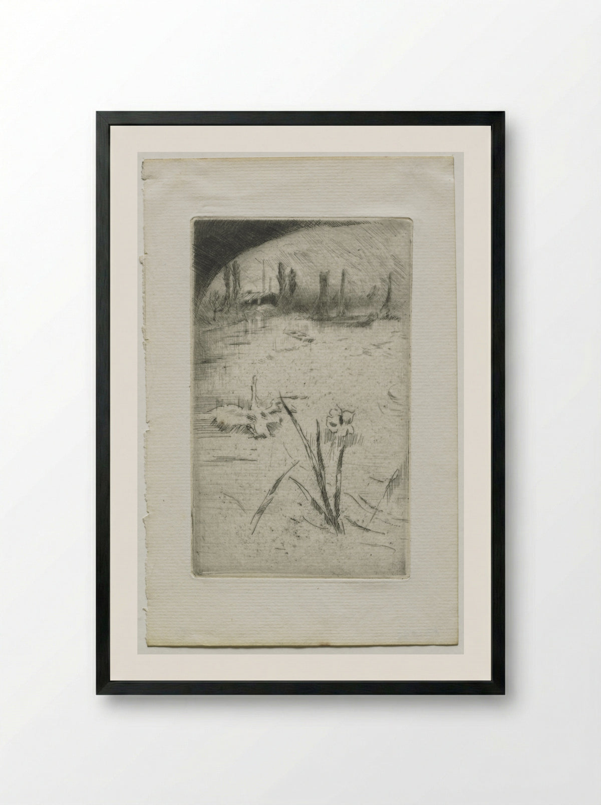 Swan and Iris - James McNeill Whistler - Framed Print Black