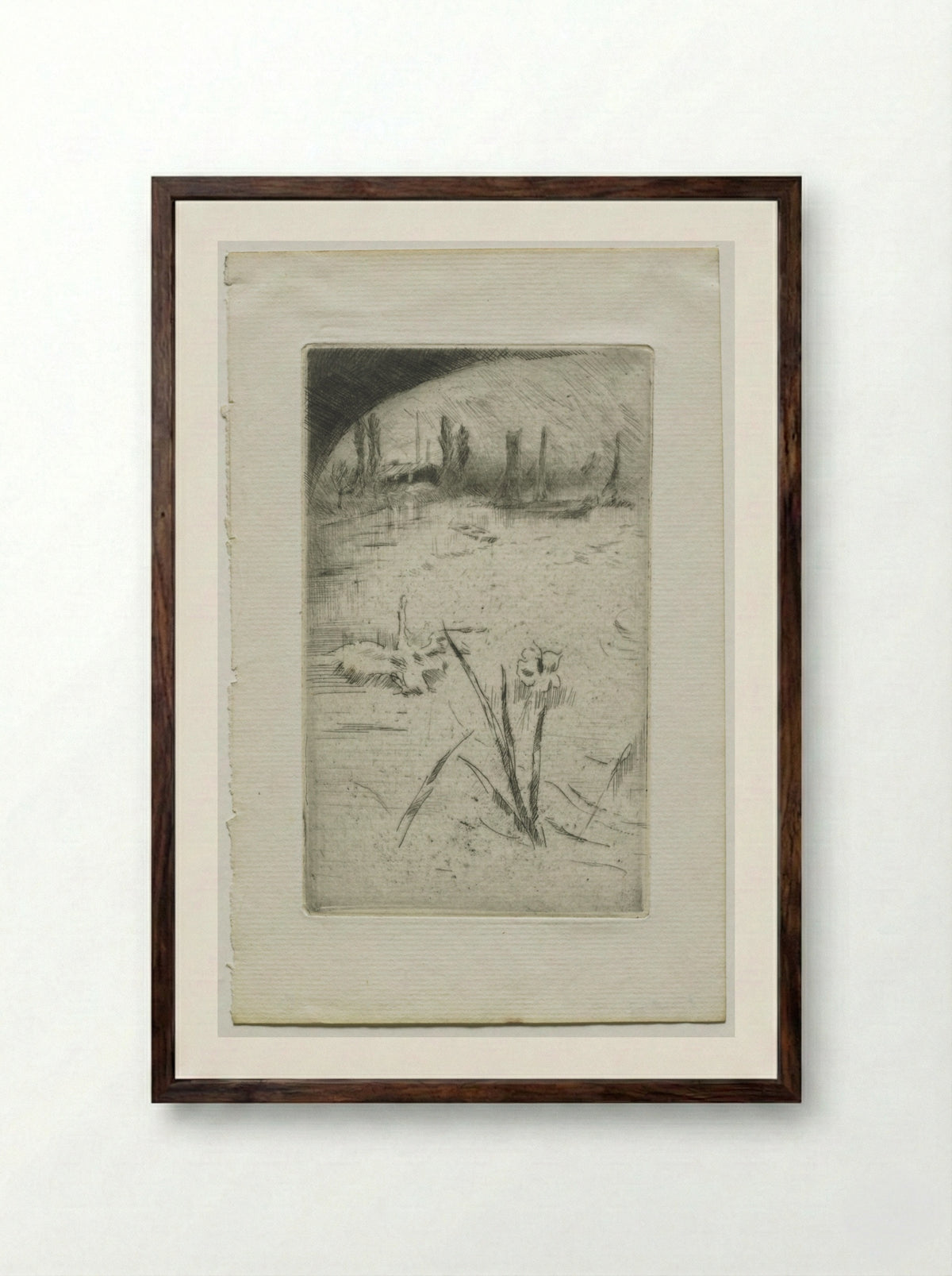 Swan and Iris - James McNeill Whistler - Framed Print Dark Wood
