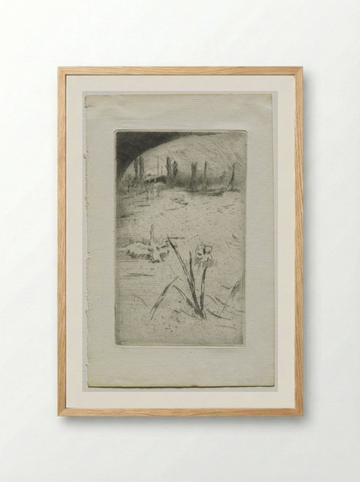 Swan and Iris - James McNeill Whistler - Framed Print Wood