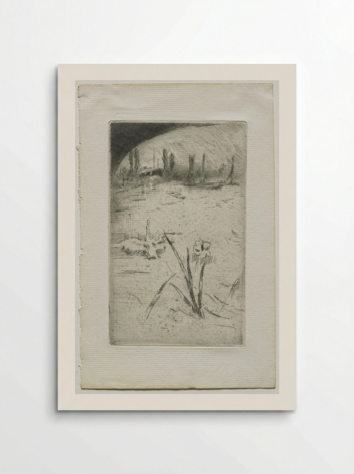 Swan and Iris - James McNeill Whistler - Poster