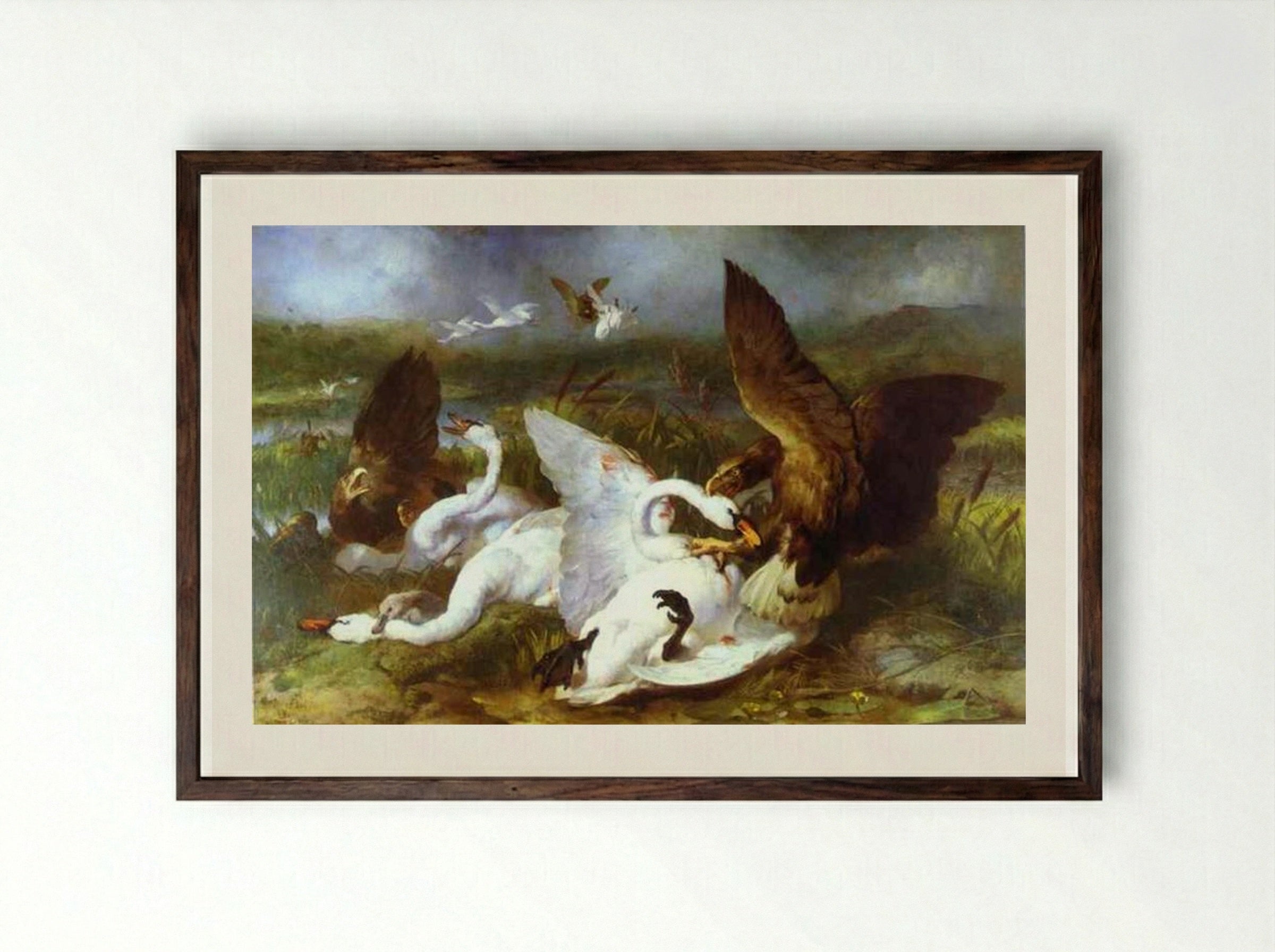Swannery Invaded by Eagles - Edwin Henry Landseer - Framed Print Dark Wood