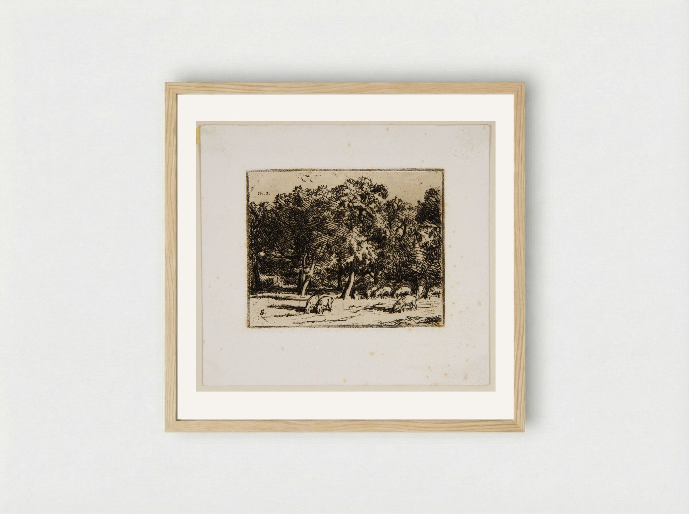 Swine - Charles-Émile Jacque - Framed Print Wood