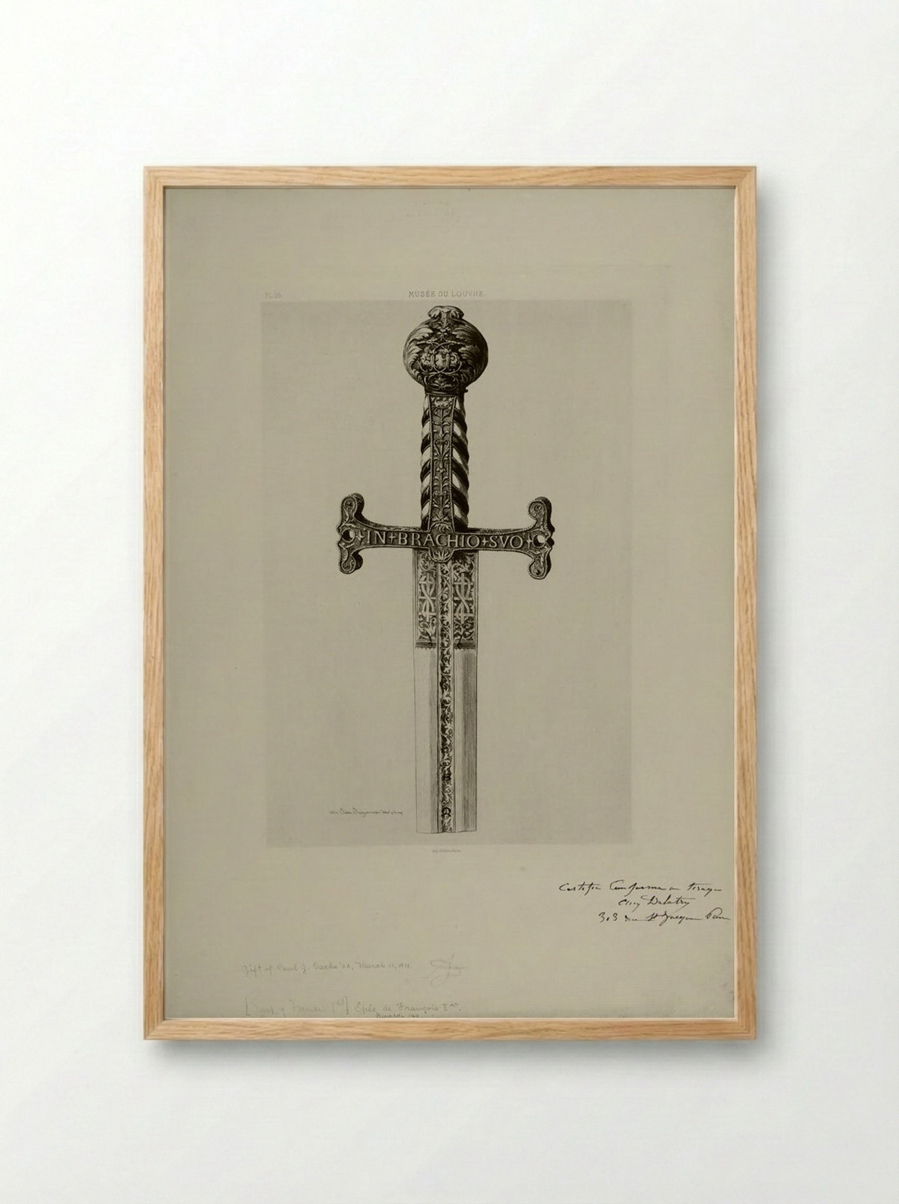 Sword of François I - Jules Ferdinand Jacquemart - Framed Print Wood