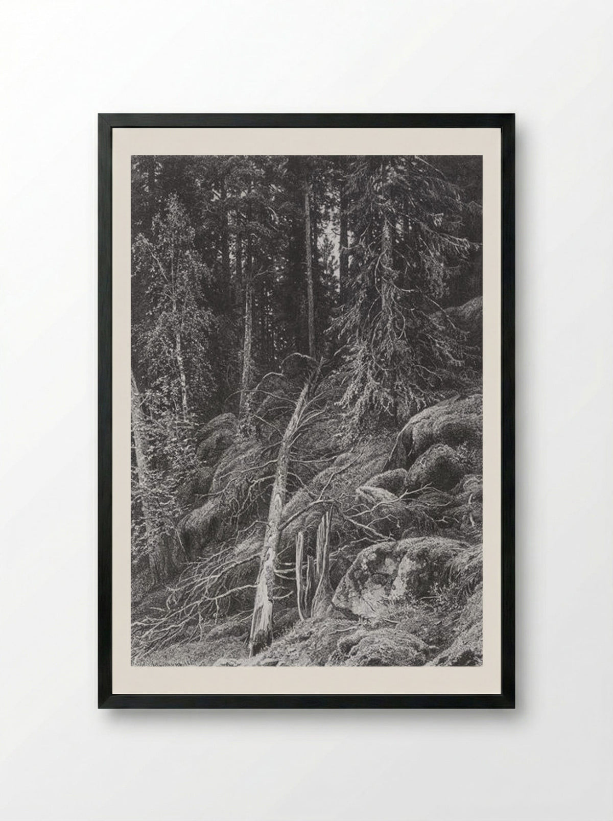 Taiga - Ivan Shishkin - Framed Print Black