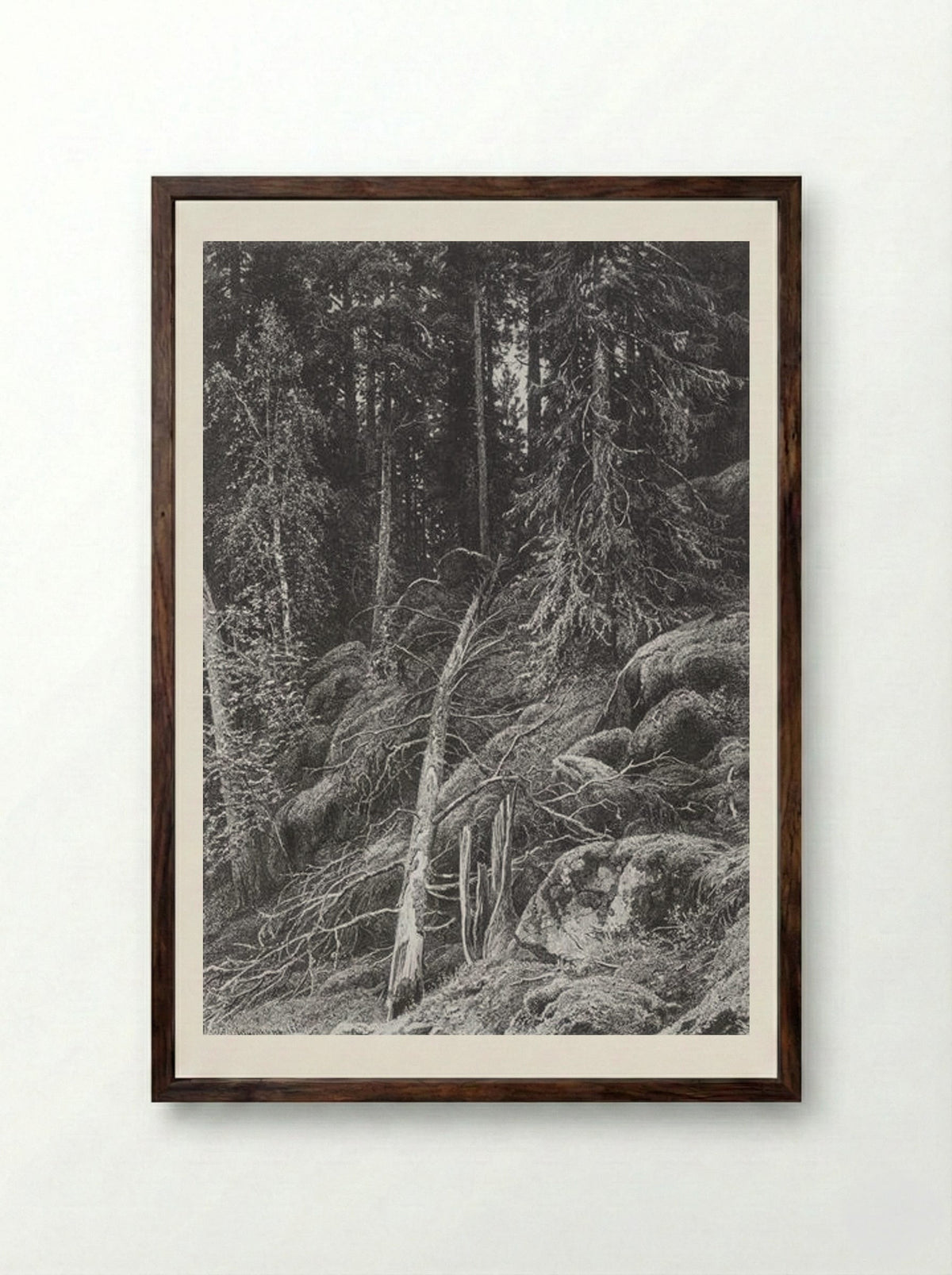 Taiga - Ivan Shishkin - Framed Print Dark Wood