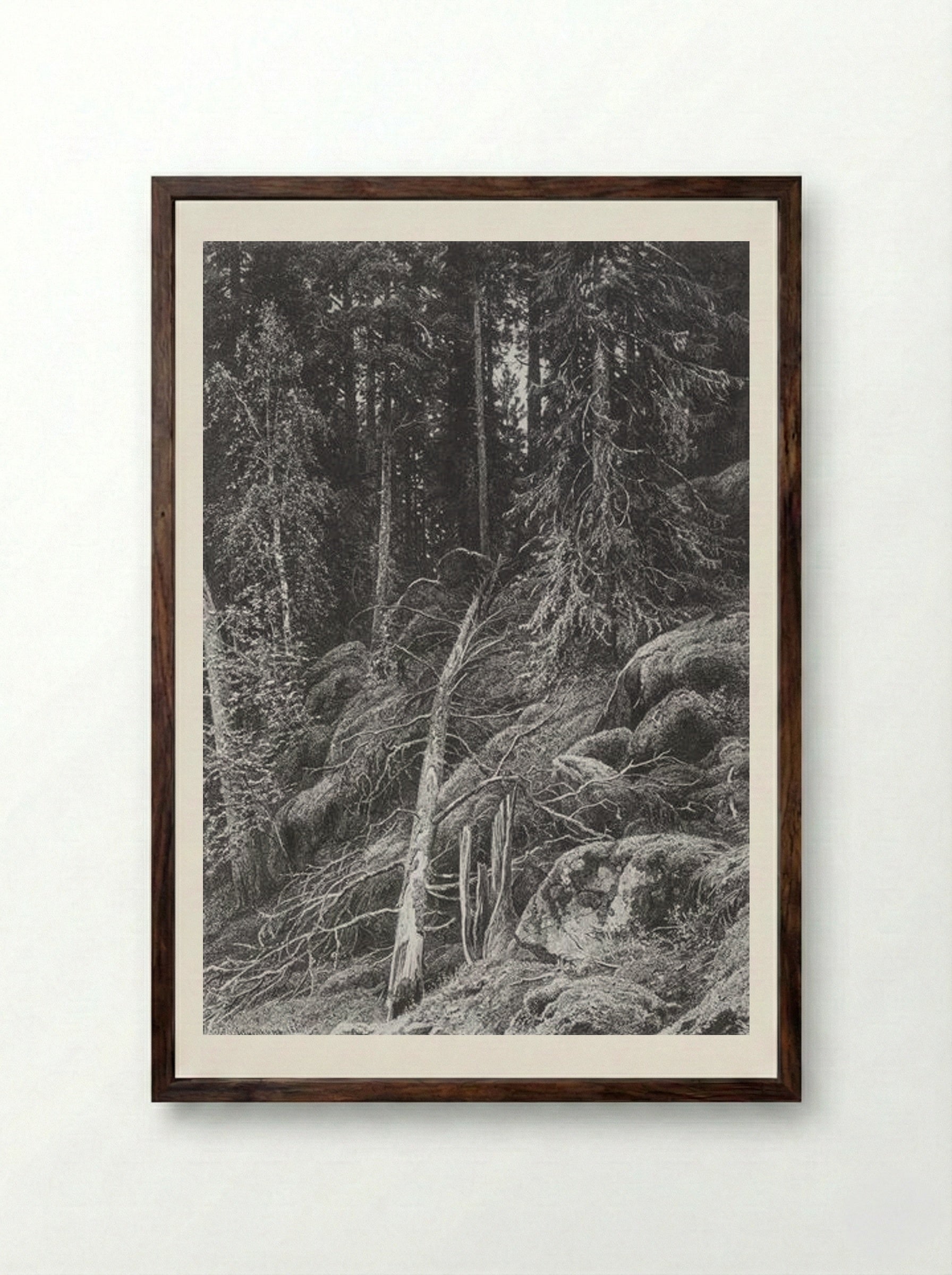 Taiga - Ivan Shishkin - Framed Print Dark Wood