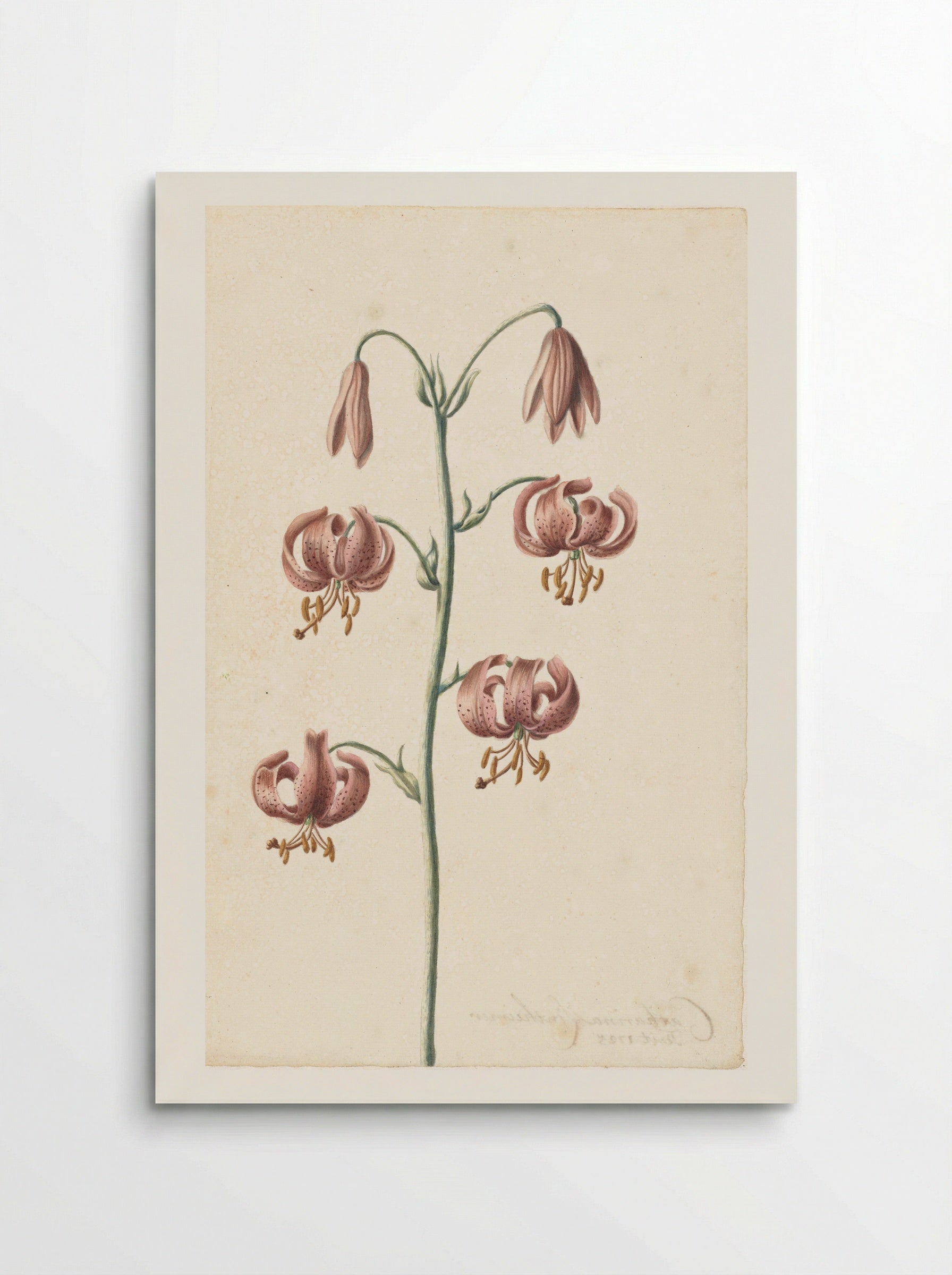 Takje met roodbruine lelies - Catharina Lintheimer - Poster
