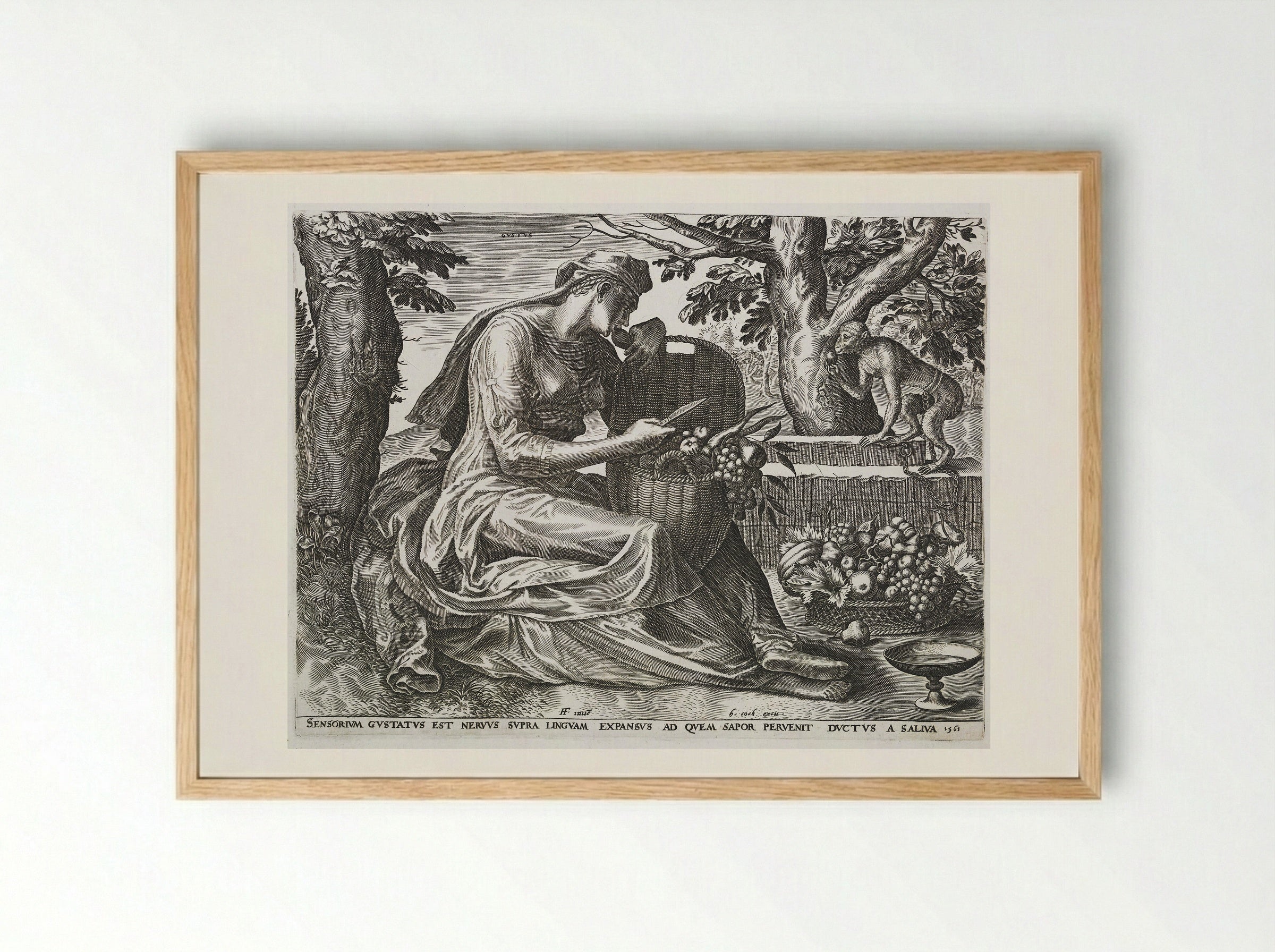 Taste (Gustus) - Cornelis Cort - Framed Print Wood