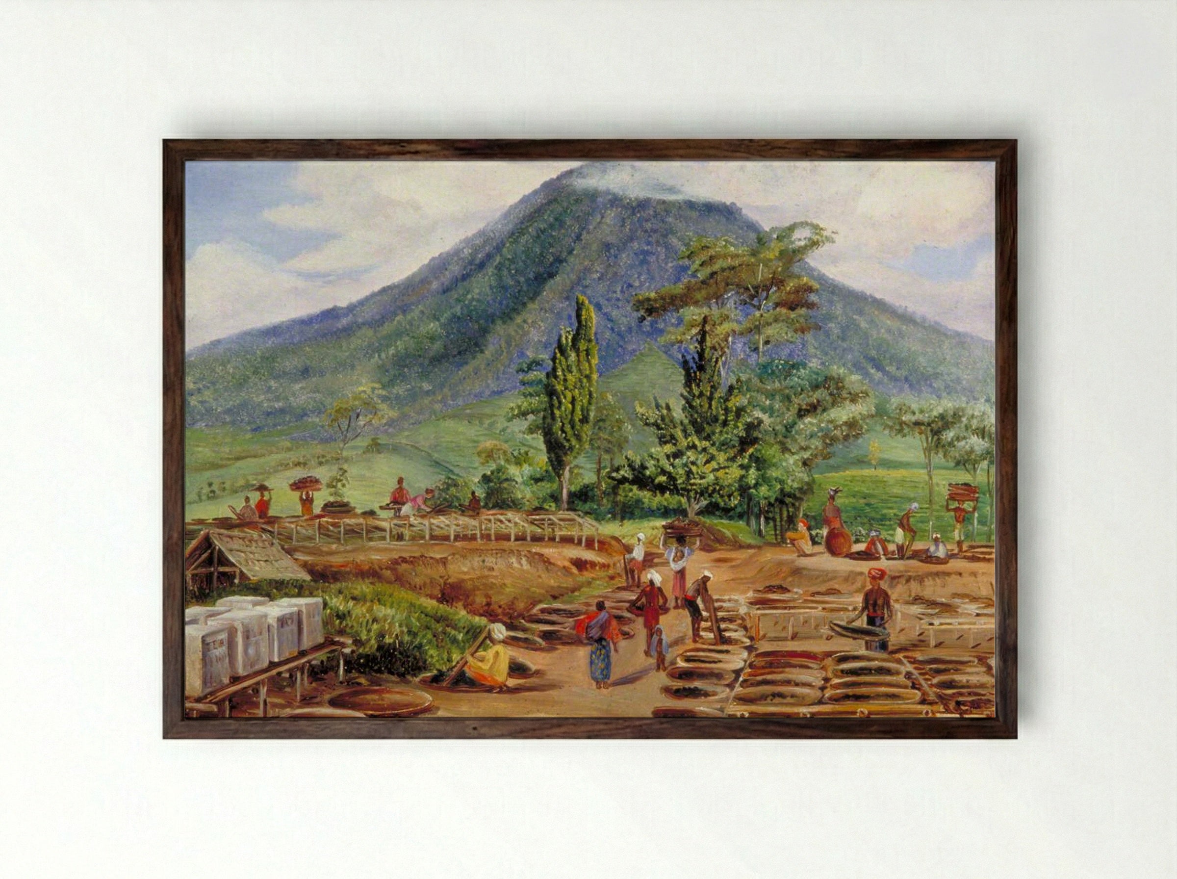 Tea-Drying in Mr Hölle's Establishment, Java - Marianne North - Framed Print Dark Wood